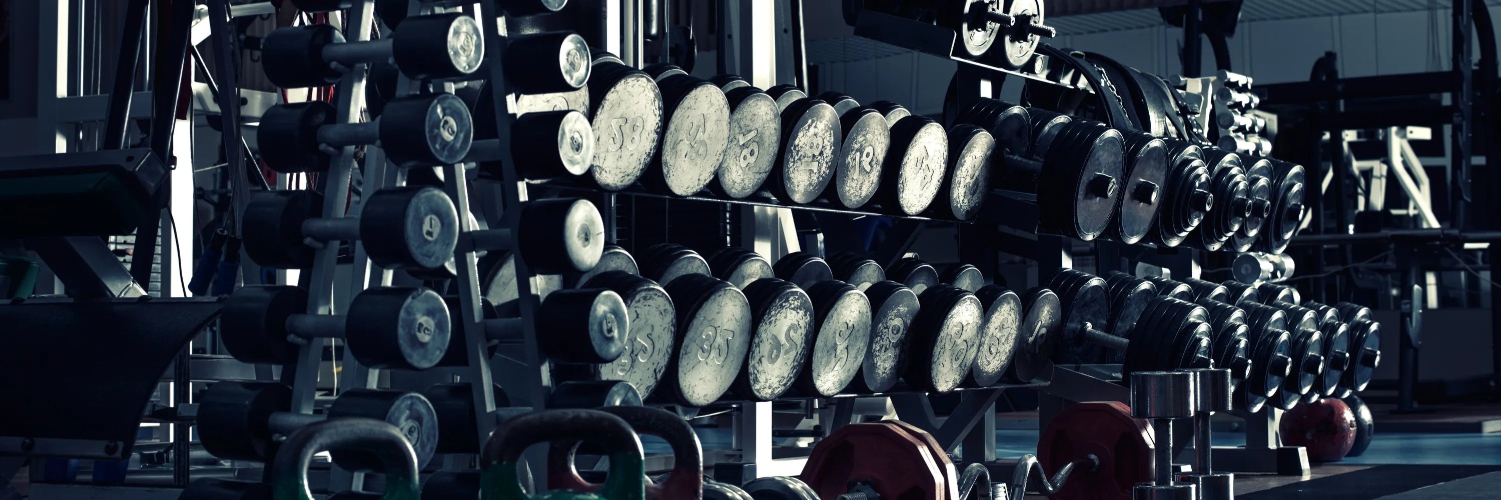 Gym & Active